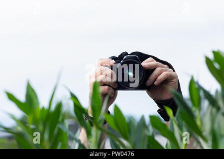 Man taking pictures from behind the bushes, camera in his hands Stock Photo