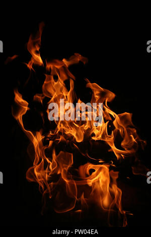 birch firewood brightly burning in fire Stock Photo