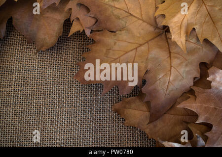 Autumn dry leaves on sack surface Stock Photo