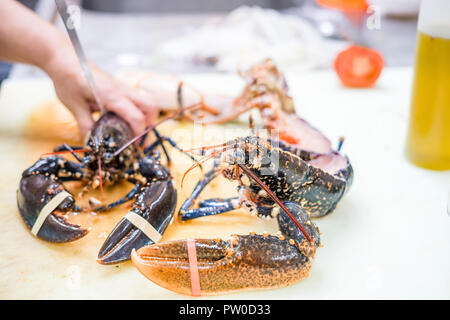 Two lobsters on kitchen's cutting board to be prepared for eating in the restaurant Stock Photo