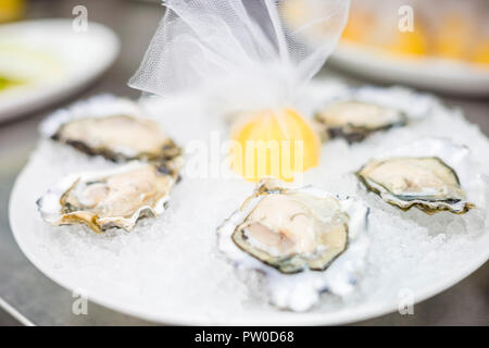 Six oysters in ice on white plate with lemon Stock Photo