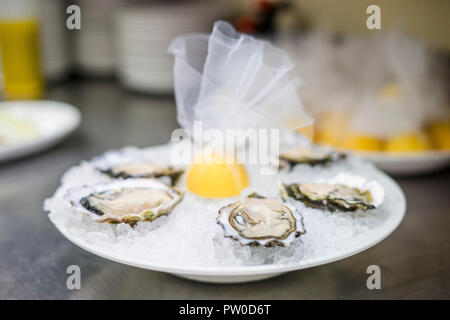 Six oysters in ice on white plate with lemon Stock Photo