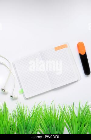 Study stuff. Education background. Stationery. Aspects of education. Stickers, marker, apple, headphones and opened notebook on the table with decorat Stock Photo