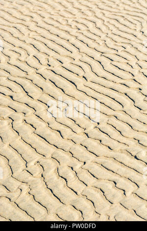 Low tide ripple marks / fluvial ridges in wet beach sand. Mars-like flow patterns concept. For stratigraphy study. Stock Photo