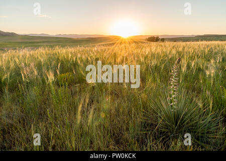 The sun starts to dip below the horizon at sunset over Eagles Nest Open Space in Larimer County, Colorado. Stock Photo