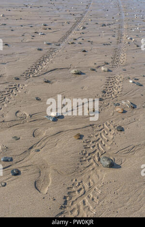 Impressions of tyre tread / tyre marks on wet sandy beach. Stock Photo