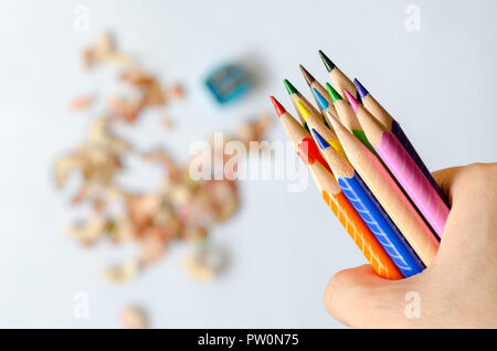 Coloured pencils in hand against blurred shavings on white background. Stock Photo