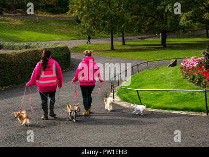 Princes Street Gardens, Edinburgh, Scotland, United Kingdom, 12th October 2018. UK Weather: A quiet morning in the city centre. Girls take Chihuahua dogs for a walk from the Edinburgh Chihuahua Cafe Stock Photo