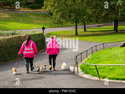 Princes Street Gardens, Edinburgh, Scotland, United Kingdom, 12th October 2018. UK Weather: A quiet morning in the city centre. Girls take Chihuahua dogs for a walk from the Edinburgh Chihuahua Cafe Stock Photo