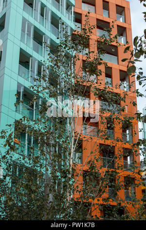 New high rise colourful residential buildings at Enderby Wharf, North Greenwich, London, UK, with extensive and modern designed landscaped gardens. Stock Photo