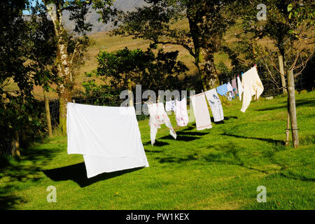 Line of washing drying in an Irish garden - John Gollop Stock Photo