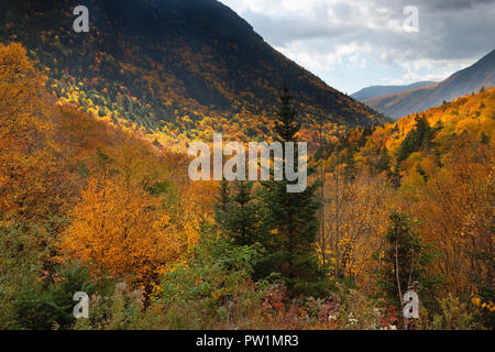 Fall Foliage, Crawford Notch, White Mountain National Forest, New Hampshire, USA Stock Photo
