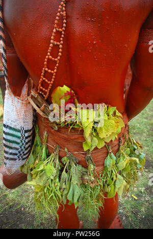 Colourfully dressed and face painted man as part of a Sing Sing in Madang, Papua New Guinea. Stock Photo