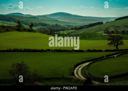 View across Scottish Border Hills, while walking up to Heip Hill on the outskirts of Hawick Stock Photo