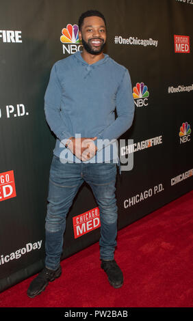 NBC Universal Events 'Chicago PD' at 'One Chicago Day' at Lagunitas Brewing Company in Chicago, Illinois.  Featuring: LaRoyce Hawkins Where: Chicago, Illinois, United States When: 10 Sep 2018 Credit: WENN Stock Photo