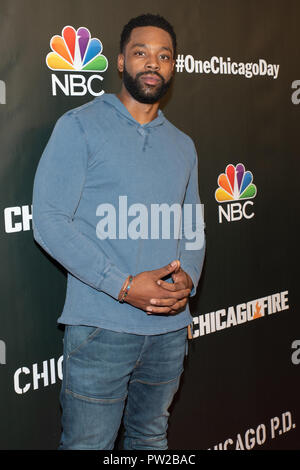 NBC Universal Events 'Chicago PD' at 'One Chicago Day' at Lagunitas Brewing Company in Chicago, Illinois.  Featuring: LaRoyce Hawkins Where: Chicago, Illinois, United States When: 10 Sep 2018 Credit: WENN Stock Photo