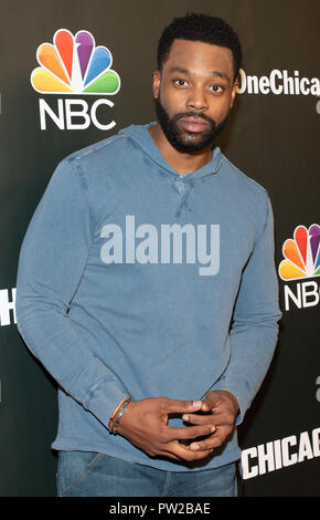 NBC Universal Events 'Chicago PD' at 'One Chicago Day' at Lagunitas Brewing Company in Chicago, Illinois.  Featuring: LaRoyce Hawkins Where: Chicago, Illinois, United States When: 10 Sep 2018 Credit: WENN Stock Photo