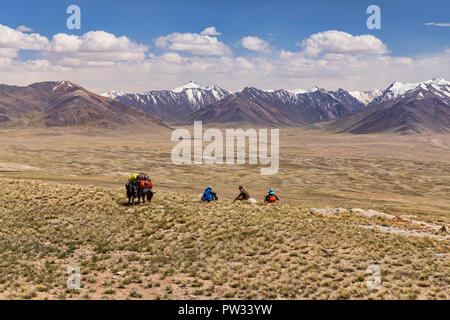 Kyrgyz herders with yak packed for expedition from Keng Shiber to Kara Jilga, Pamir Mountains, Gorno-Badakhshan, Tajikistan. Stock Photo