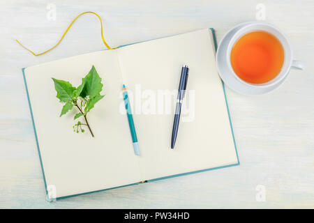 A top shot of an open journal with a branch with green leaves, a pencil, a pen, and a cup of tea, on a light background with a place for text Stock Photo