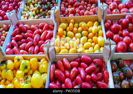 Organic fresh tomatoes from Mediterranean farmer's mark Stock Photo