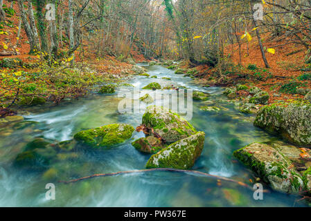 Autumn landscape, fast mountain river and moss covered rocks in the gorge Stock Photo