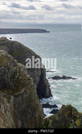 Ellins Tower near South Stack on Anglesey Stock Photo