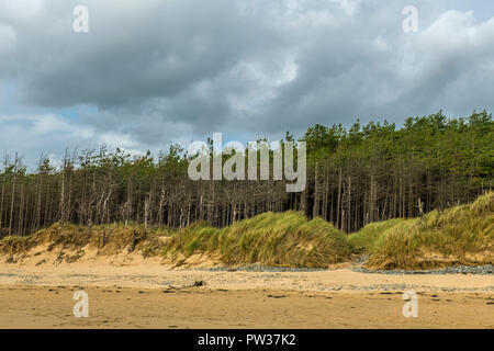 The beach at Newborough Warren on Anglesey Stock Photo