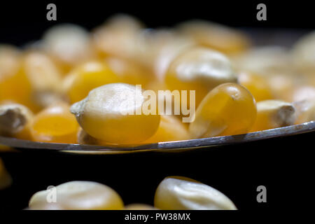 A macro of beautifully shiny kernels of corn in a shiny spoon. Stock Photo