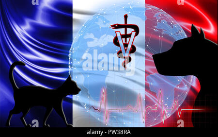 Black cat and dog on the background of the flag of France. Emergency help for pets. Vet clinic. Stock Photo