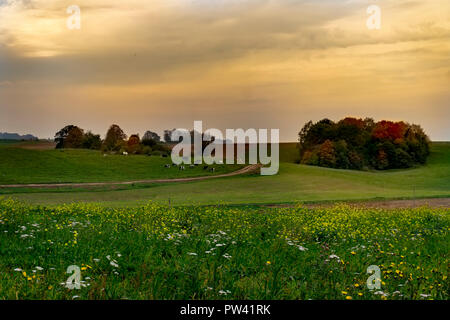 Cloudy sunset over green field, farm road, cows and autumn colored trees Stock Photo