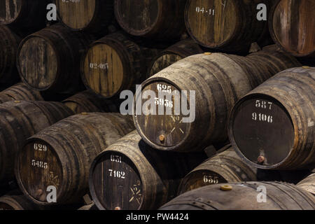 Rows of wooden porto wine barrels in wine cellar Porto, Portugal. Stock Photo