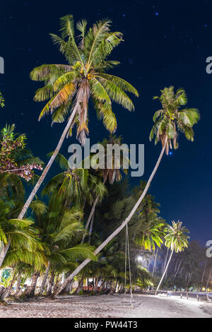 Palm trees on the beach at night on Koh Kood island, Thailand Stock Photo