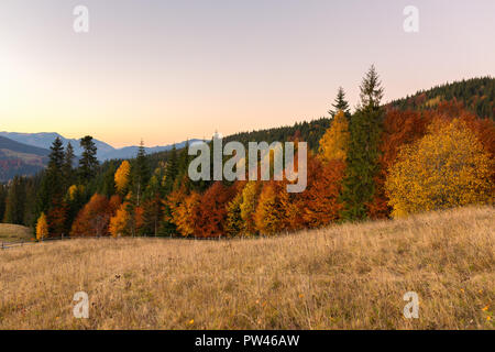 Beautiful autumn landscape with colorful trees at sunset in Carpathian mountains, Ukraine. Red, yellow and green fall leaves Stock Photo