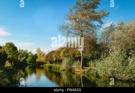 The beck (canal) flanked by thick vegetation and trees in autumn colours on a peaceful day in Beverley, Yorkshire, UK. Stock Photo
