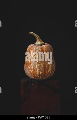 Butternut pumpkins Stock Photo