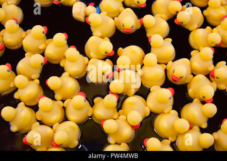 High angle view of rubber ducks floating on water Stock Photo