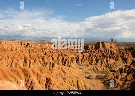 Tatacoa desert in Colombia Stock Photo