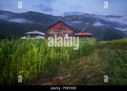 Life in Mountains Stock Photo