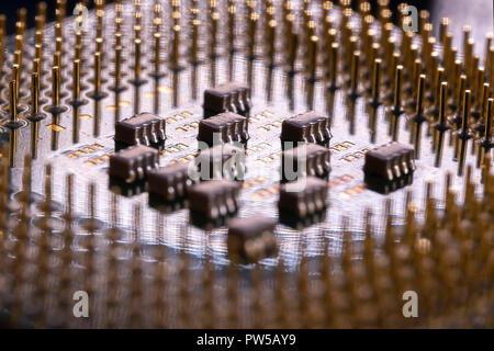 CPU from the bottom with its pins and chips vissible. Computational equipment. Stock Photo