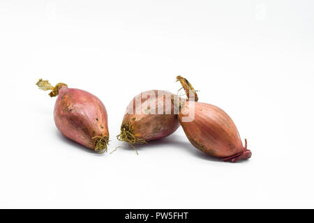 Shallot onions isolated on white background Stock Photo