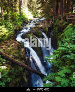 The amazing Sol Duc waterfall in the Olympic National Park, USA Stock Photo