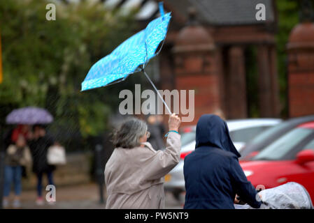 Glasgow, Scotland, UK,12th October, 2018. UK Weather: With amber warnings for rain and yellow warning for wind as Storm Callum finally broke late morning in the city as locals in the botanic gardens walked as strong winds with heavy rain came as expected. Credit: gerard ferry/Alamy Live News Stock Photo