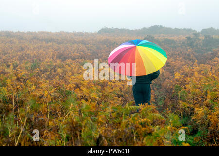 Flintshire, North Wales, 13th October 2018. UK Weather: Heavy rain for most today with weather warnings in place and flood warnings for parts of Wales. A person taking a early morning walk through the ferns during heavy rain and misty weather, Halkyn, Flintshire © DGDImages/AlamyNews Stock Photo
