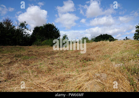 “Toot Hill”, Pirton, Hertfordshire, stands to the south west edge of Pirton’s churchyard as a reminder of the Motte and Bailey castle.   Ralph had bee Stock Photo