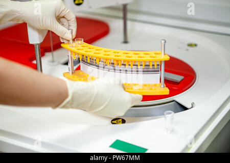 The technician places the tubes in a centrifuge apparatus, close-up, side view Stock Photo