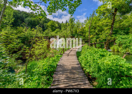 Amazing touristic wooden pathway in the colorful deep forest with clean lakes and spectacular waterfalls, Plitvice National Park, Croatia Stock Photo