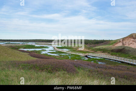 The dune trail in the Greenwich, Prince Edward Island National Park, Canada Stock Photo