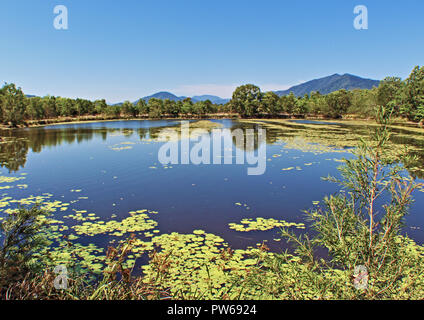 Cattana Wetlands nature conservation reserve rehabilitation project in Smithfiled north of Cairns in Queensland, Australia Stock Photo