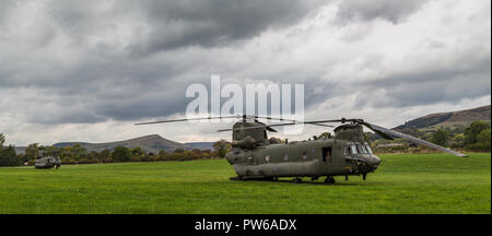 Two Royal Air Force CH-47-HC.6A Chinook helicopters in a field after the front one hit a bird during low level flying.  Seen from the roadside near Ba Stock Photo