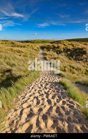 The South West Coast Path passes through sand dunes near Holywell Bay, Cornwall, UK. Stock Photo